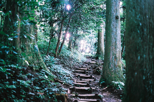 イヤシロチとケガレチの役割